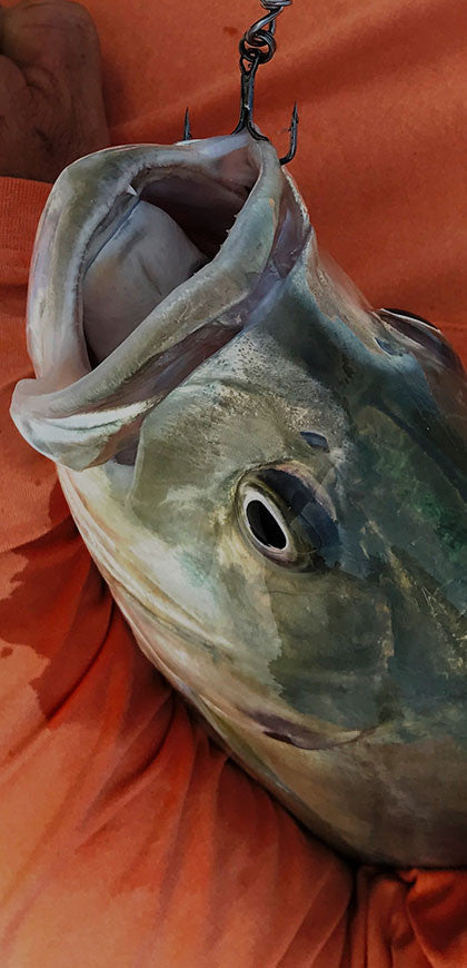 Shop Treble Hooks