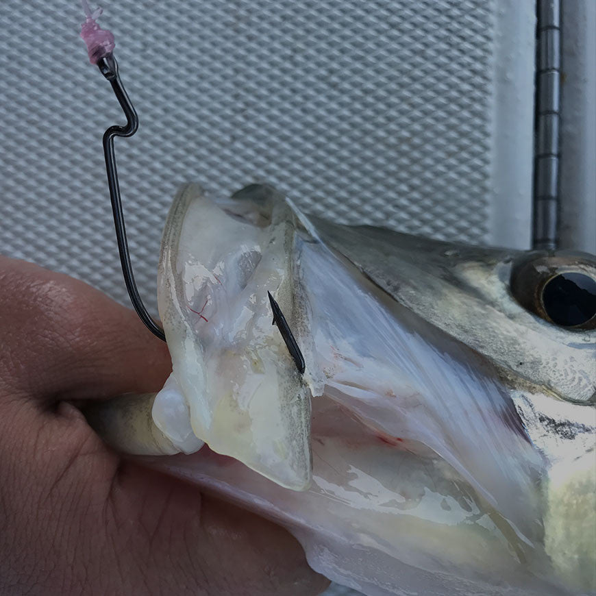 Shop All Hooks