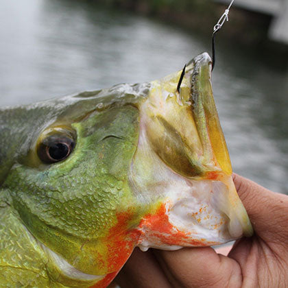 Shop Single Hooks