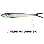 Wounded Rattle "SX" by Nextgen with Trapper Tackle Heavy Cover Offset Wide Gap Hook (2 Baits, 1 Hook) TrapperTackle American Shad SX 