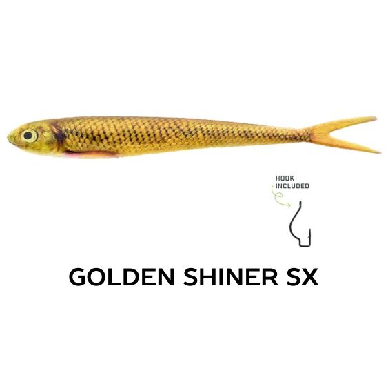 Wounded Rattle "SX" by Nextgen with Trapper Tackle Heavy Cover Offset Wide Gap Hook (2 Baits, 1 Hook) TrapperTackle Golden Shiner SX 